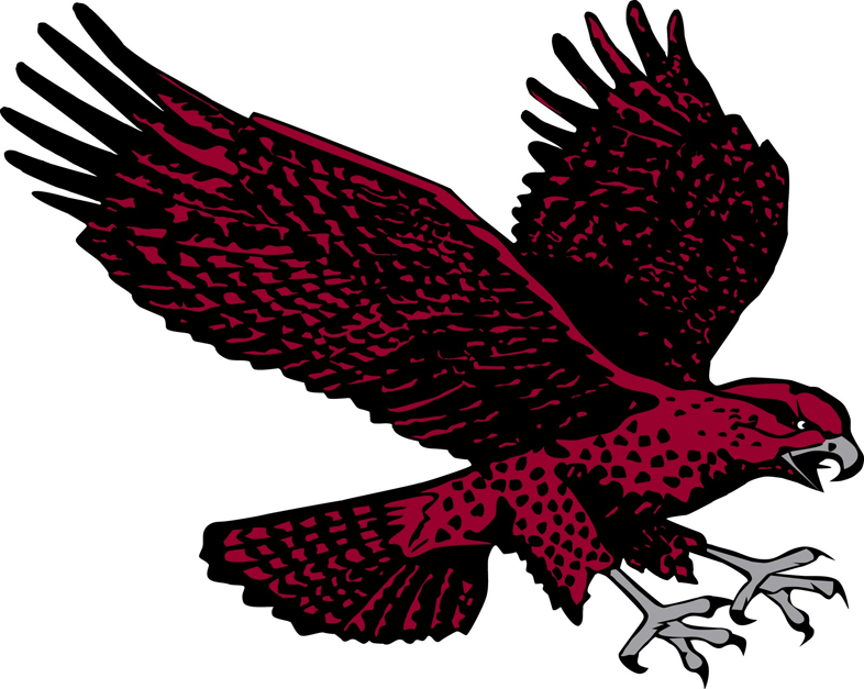 Maryland-Eastern Shore Hawks 2007-Pres Secondary Logo DIY iron on transfer (heat transfer)